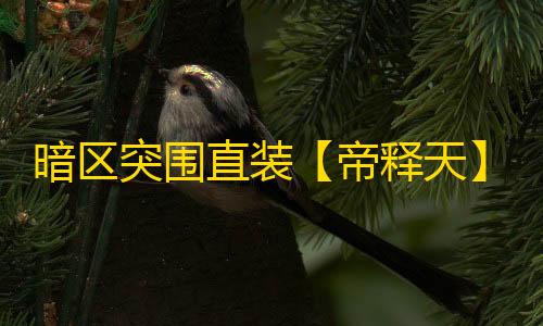 暗区突围直装【帝释天】辅助