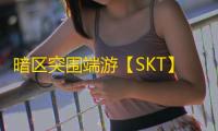 暗区突围端游【SKT】外挂