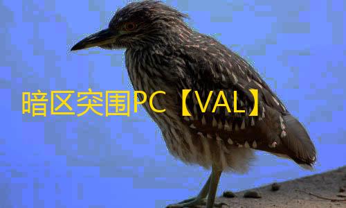 暗区突围PC【VAL】外挂