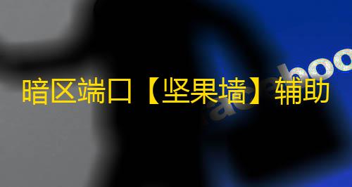 暗区端口【坚果墙】辅助