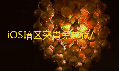 iOS暗区突胃免越狱/免签名【雪花】辅助